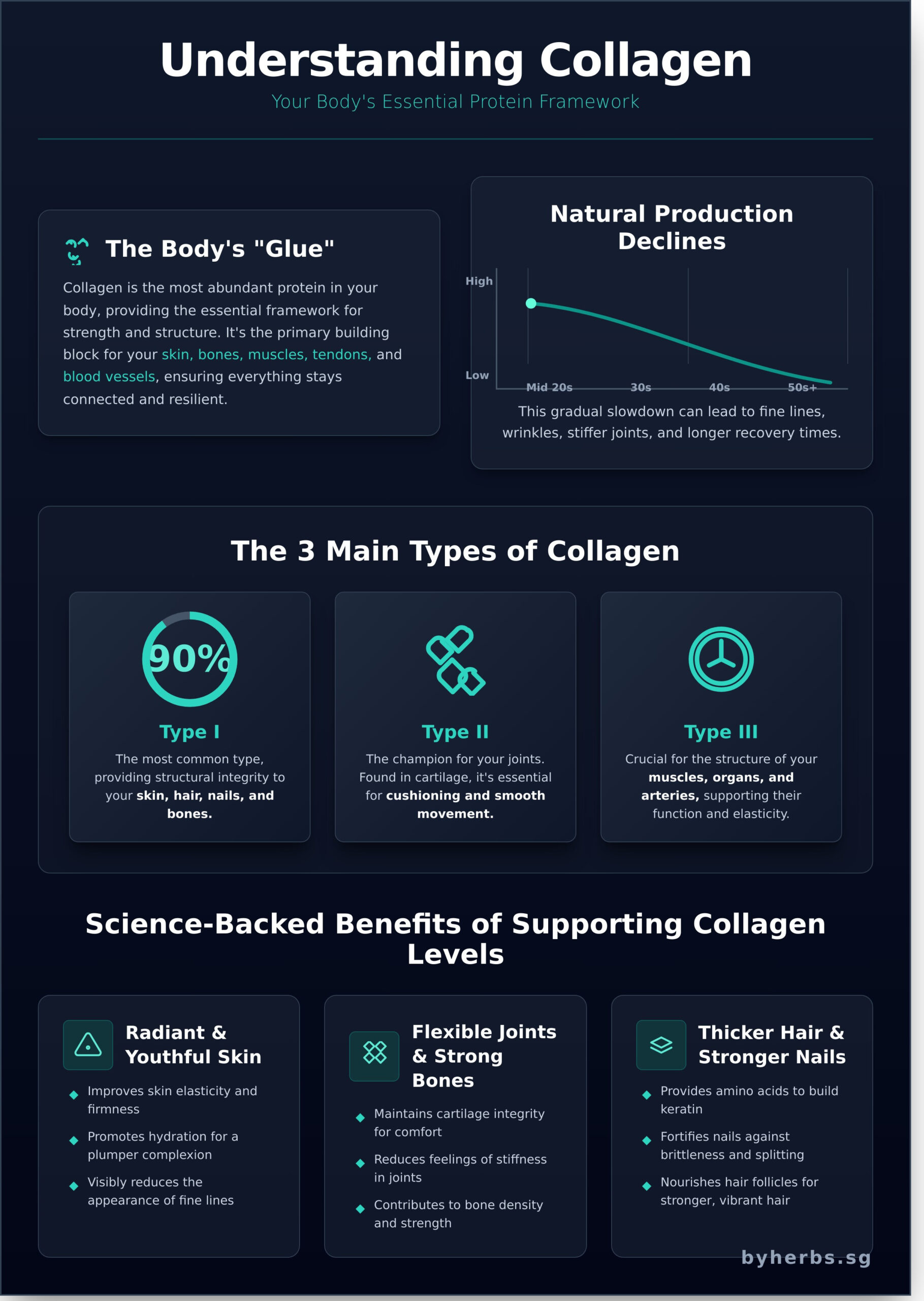 Collagen: Your Ultimate Guide to What It Is, Its Benefits, and How to Boost It - Infographic