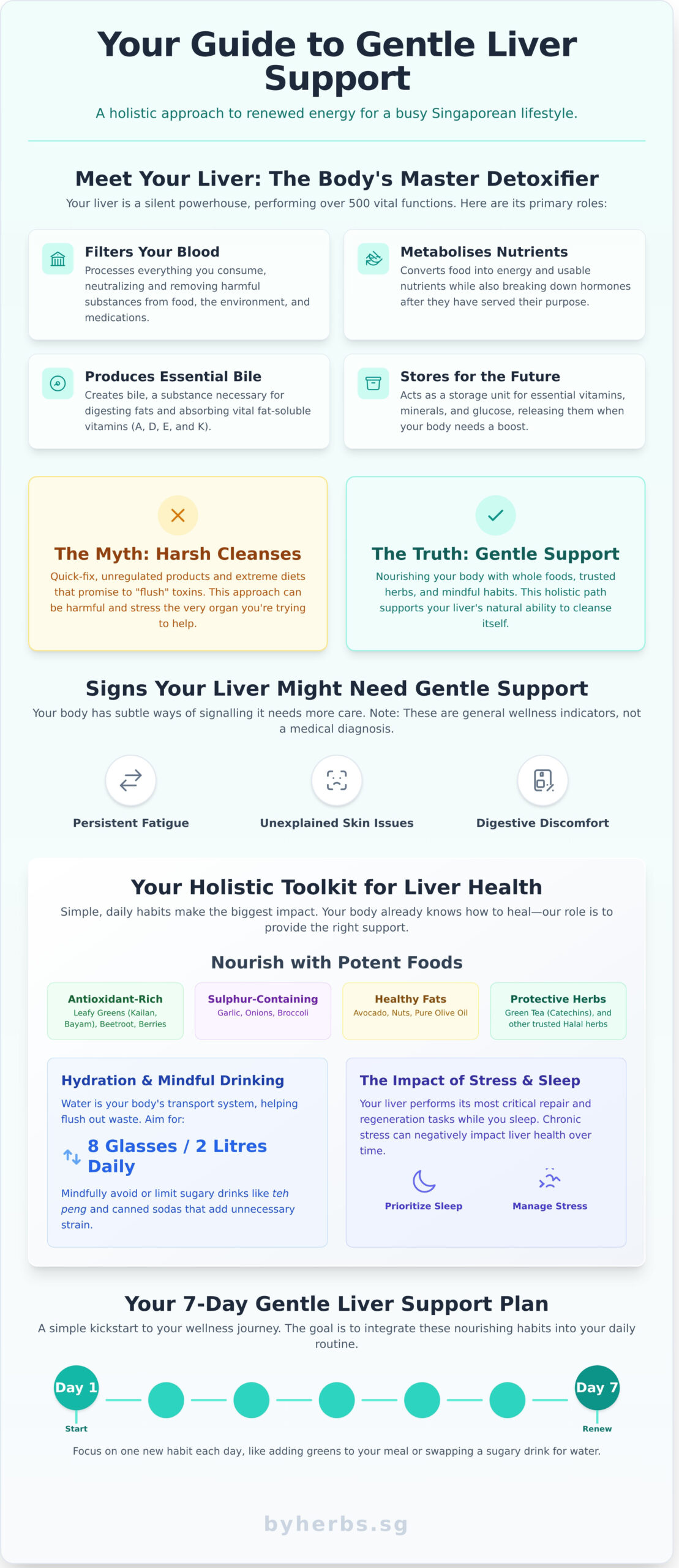 Nourish, Don’t Punish: A Gentle Guide to Liver Detox and Lasting Liver Health - Infographic
